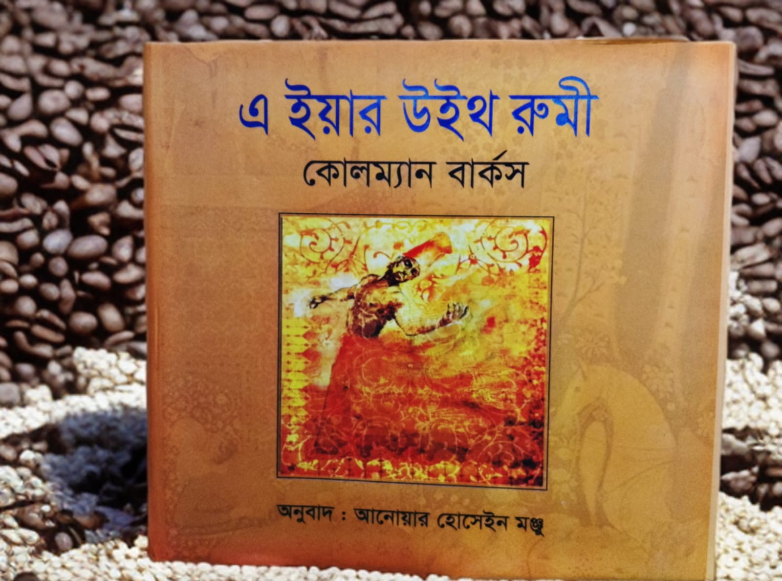 এ ইয়ার উইথ রুমী